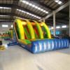 Custom Dual Lane Bouncy Castle