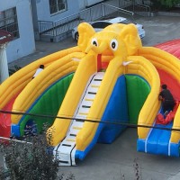 Custom Dual Lane Bouncy Castle