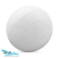Botabee Swimming Pool Standard Size Water Volleyball